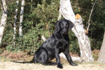 Lexy eind oktober 2011